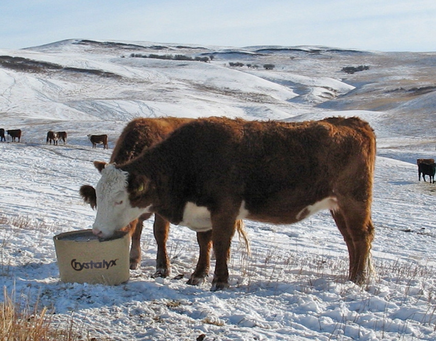 Can you improve your grazing distribution without fences?