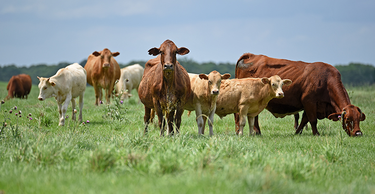 Solving spring's biggest challenges