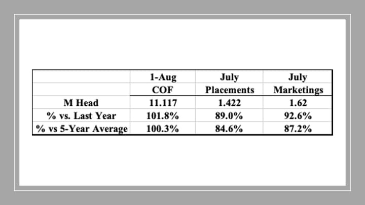 August 2026 USDA Cattle on Feed highlights