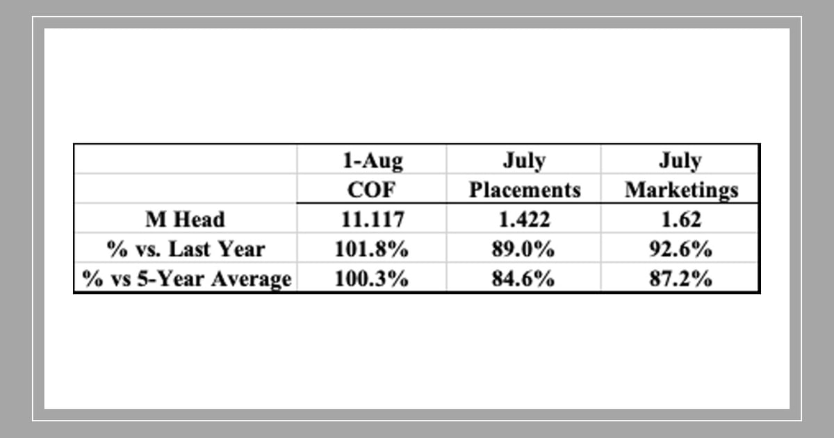 August 2026 USDA Cattle on Feed highlights