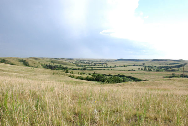 House Committee Passes Grazing Act House Committee Passes Grazing Act