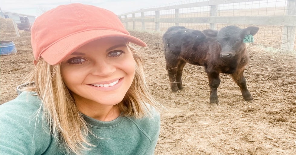 20 best 2020 BEEF Daily blogs