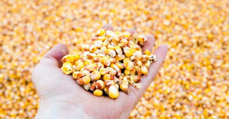 1-3-21 China GMO.jpg 1-3-21 China GMO.jpg
