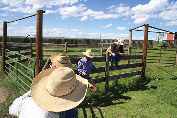 Is Your Ranching Operation Business First Or Family First?