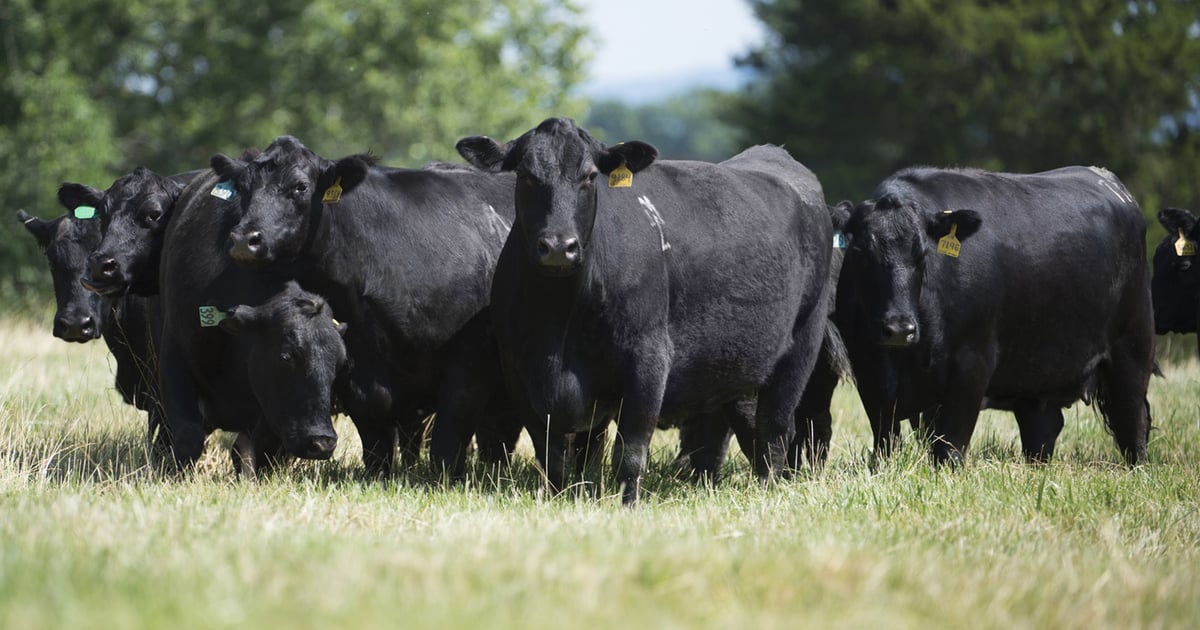 Solving spring's biggest challenges