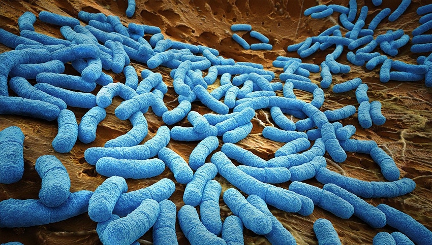 Fighting antimicrobial resistance using new technology