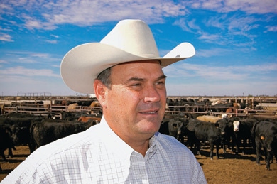Cattle Market Risk Will Only Increase