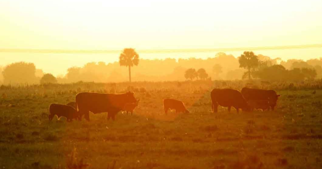 Stunning fall snapshots from the ranch | Beef Magazine