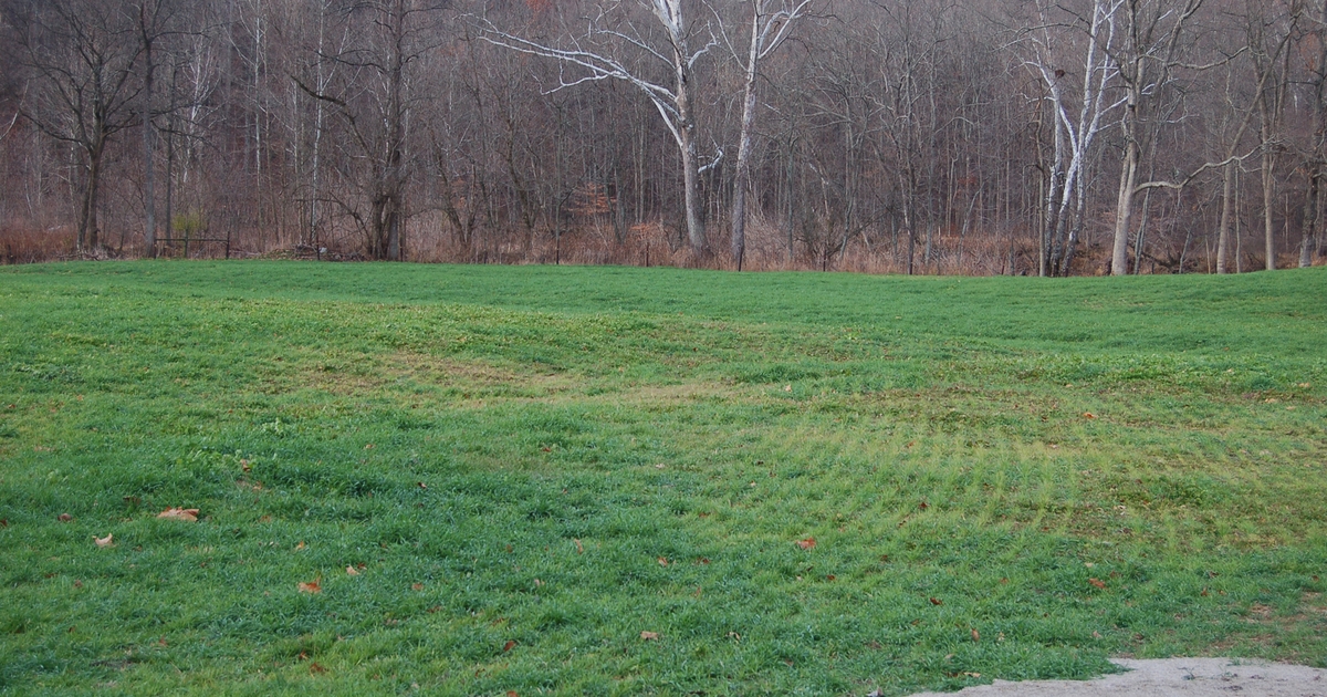 Get help with important jobs around the farm | Beef Magazine