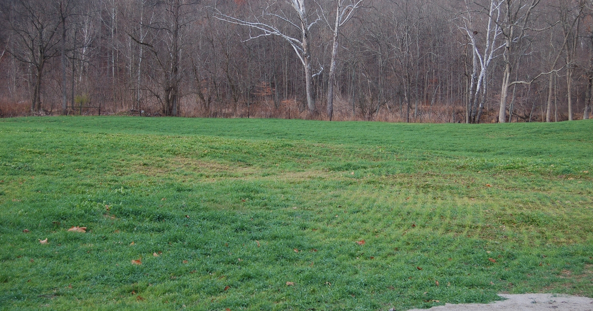 Get help with important jobs around the farm | Beef Magazine Get help with important jobs around the farm | Beef Magazine