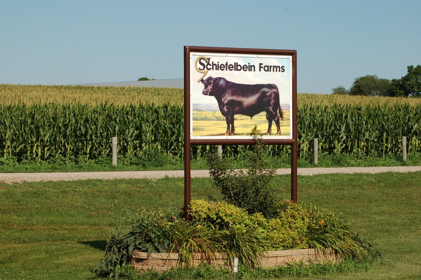 How Schiefelbein Farms made room on the ranch for nine sons
