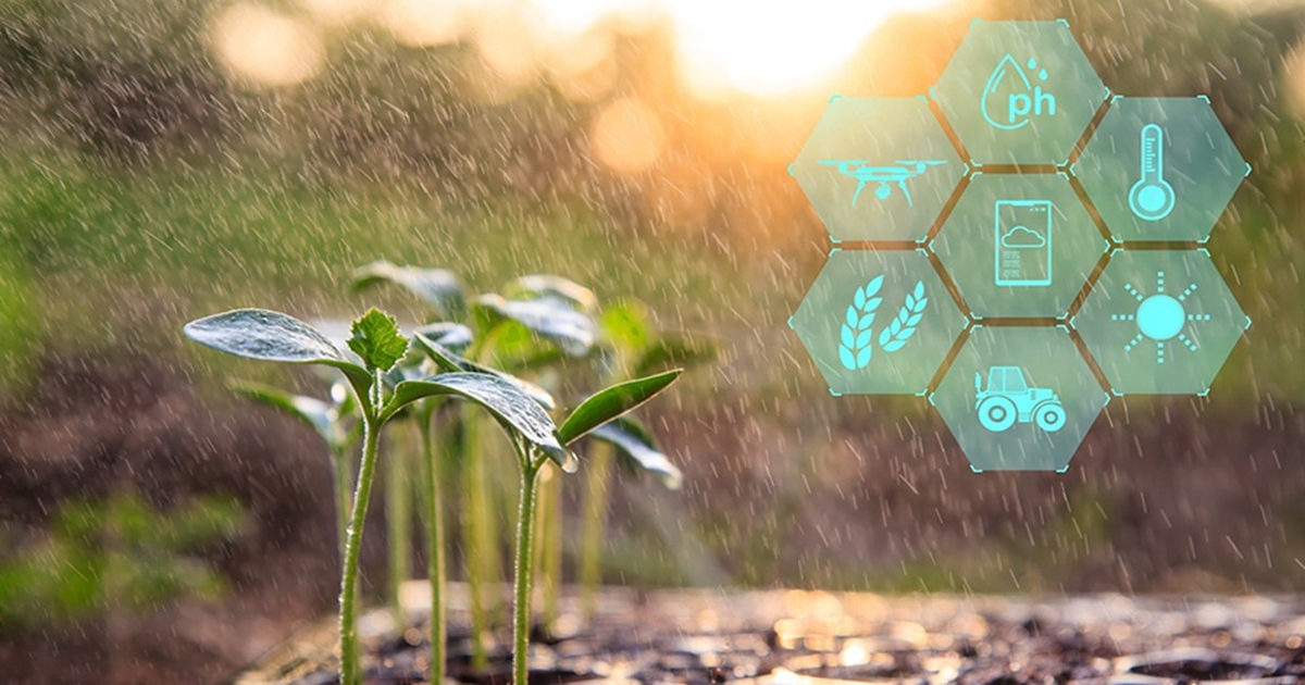 Americans support AI in farming but demand transparency