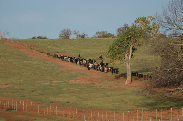 Fighting for the freedom to farm Fighting for the freedom to farm