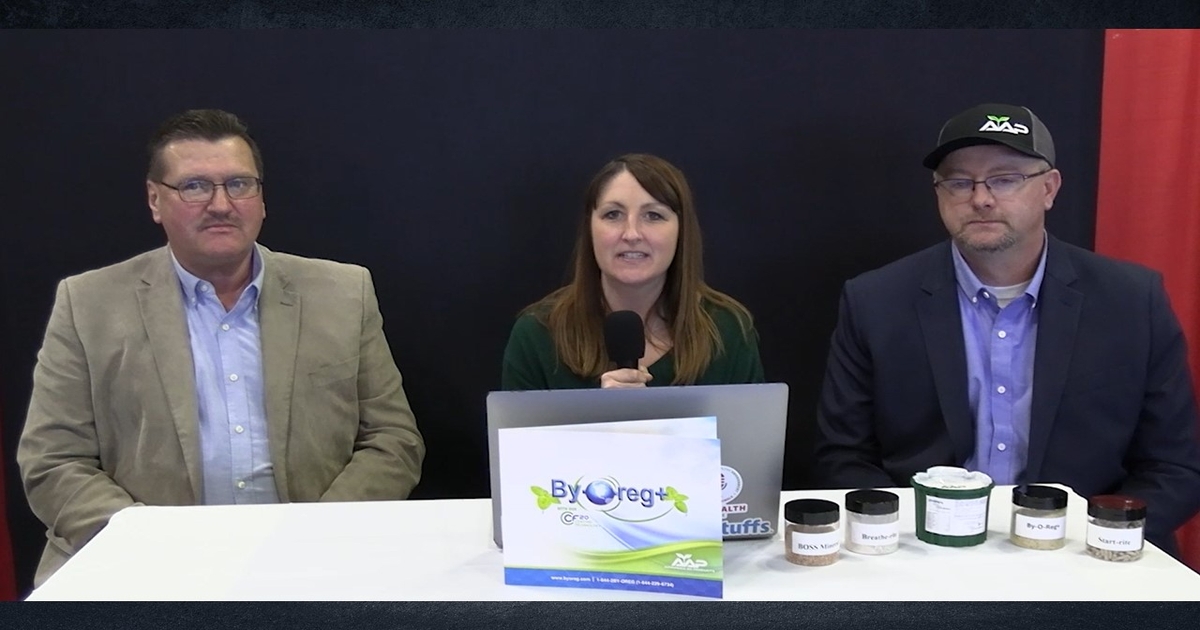 Innovative livestock nutrition solutions redefined