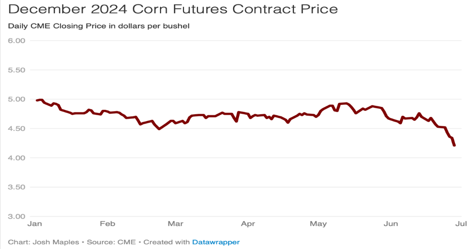 Acreage and stocks estimates push corn prices lower