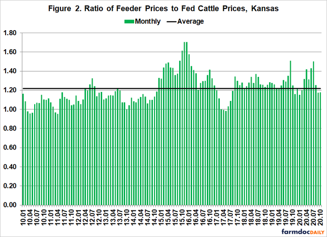 1-13-21 fed cattle 2png.png