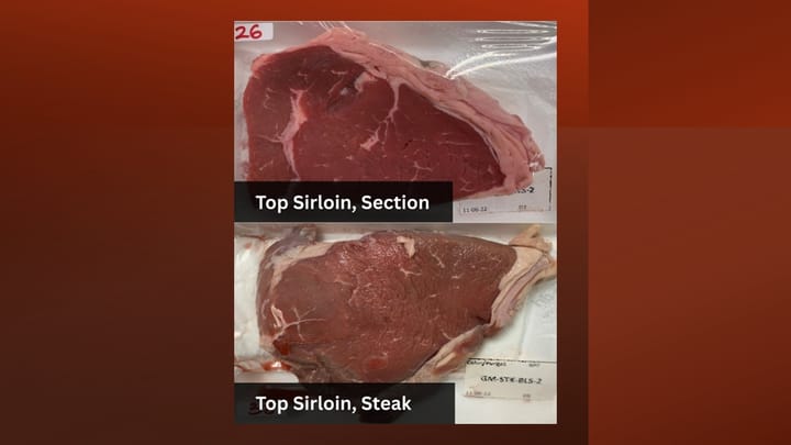 AI helps researchers target bacteria behind beef browning
