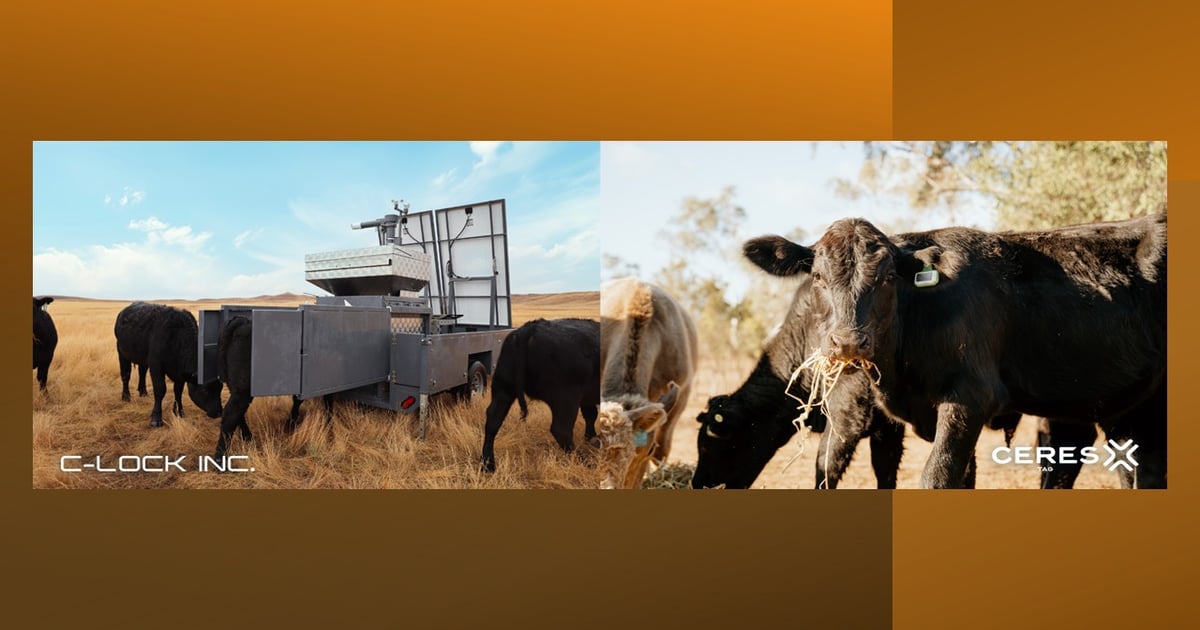 C-Lock and CERES TAG partner to advance animal insights