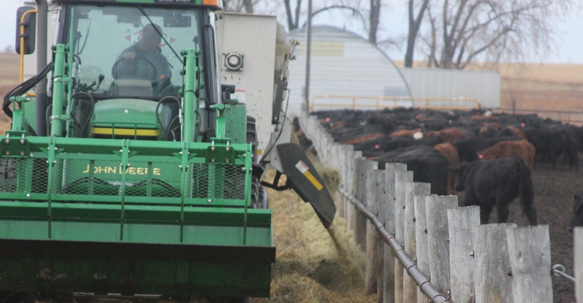 Marketing calves - what's next? Marketing calves - what's next?