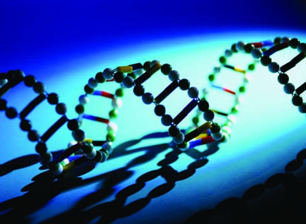 The Truth: Every Living Thing Is A Genetic Defect Carrier The Truth: Every Living Thing Is A Genetic Defect Carrier