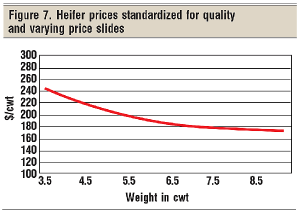 heifer prices