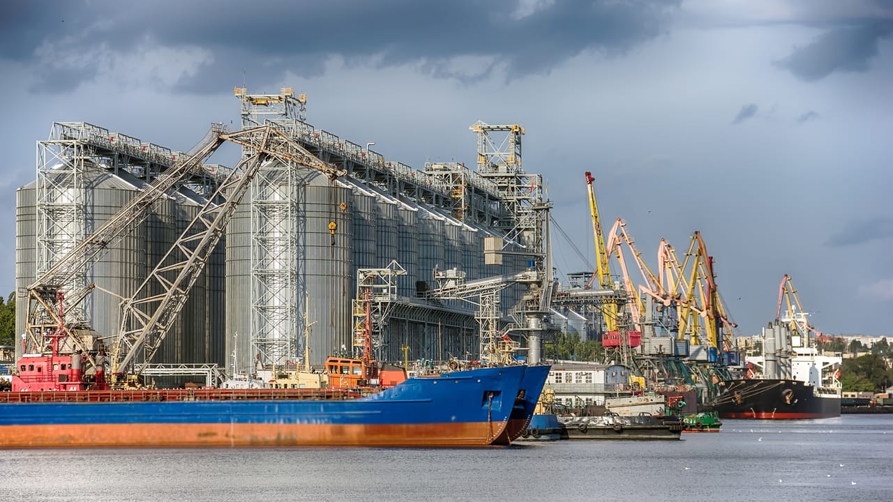 곡물 수출 터미널