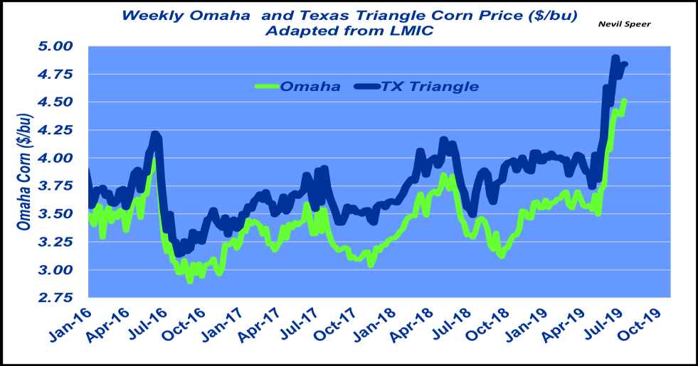 Where’s the corn market headed?