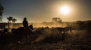 Relief efforts underway for Australian ranchers