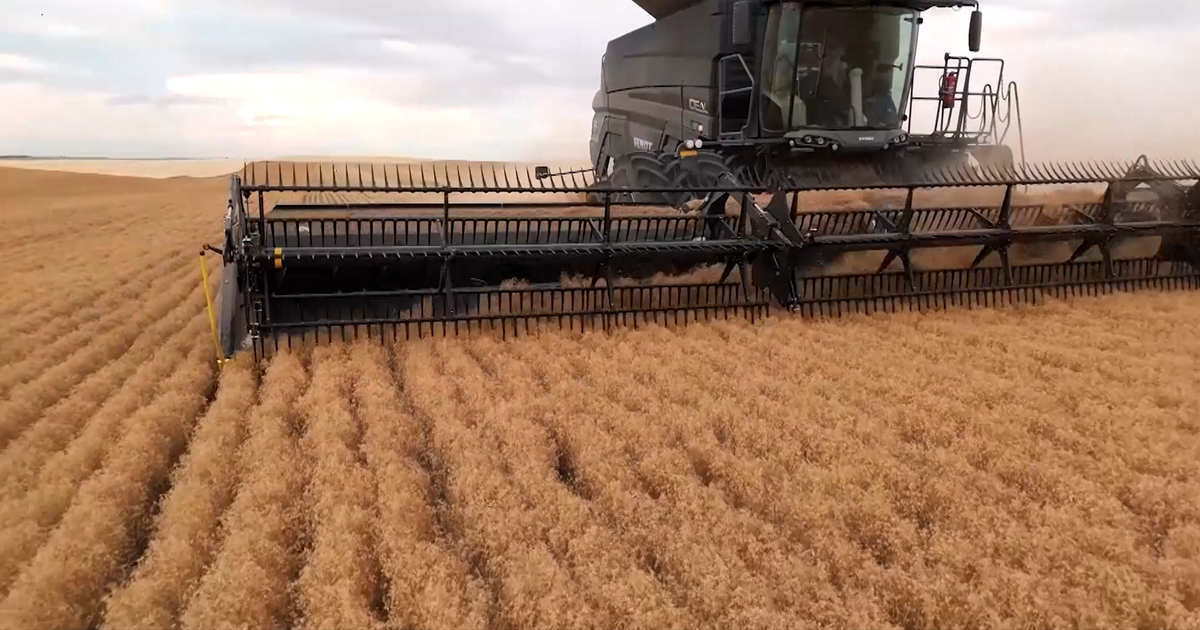 This Week in Agribusiness, September 6, 2025