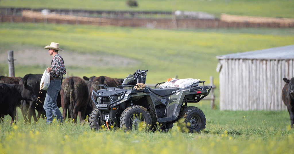 Atv Stack 21 ATV, UTV and side-by-side units for 2015 | Beef Magazine