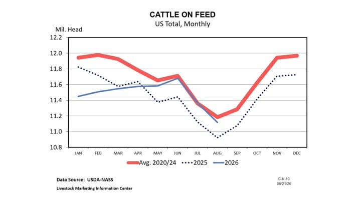 July placements and marketings at record lows in August Cattle on Feed report