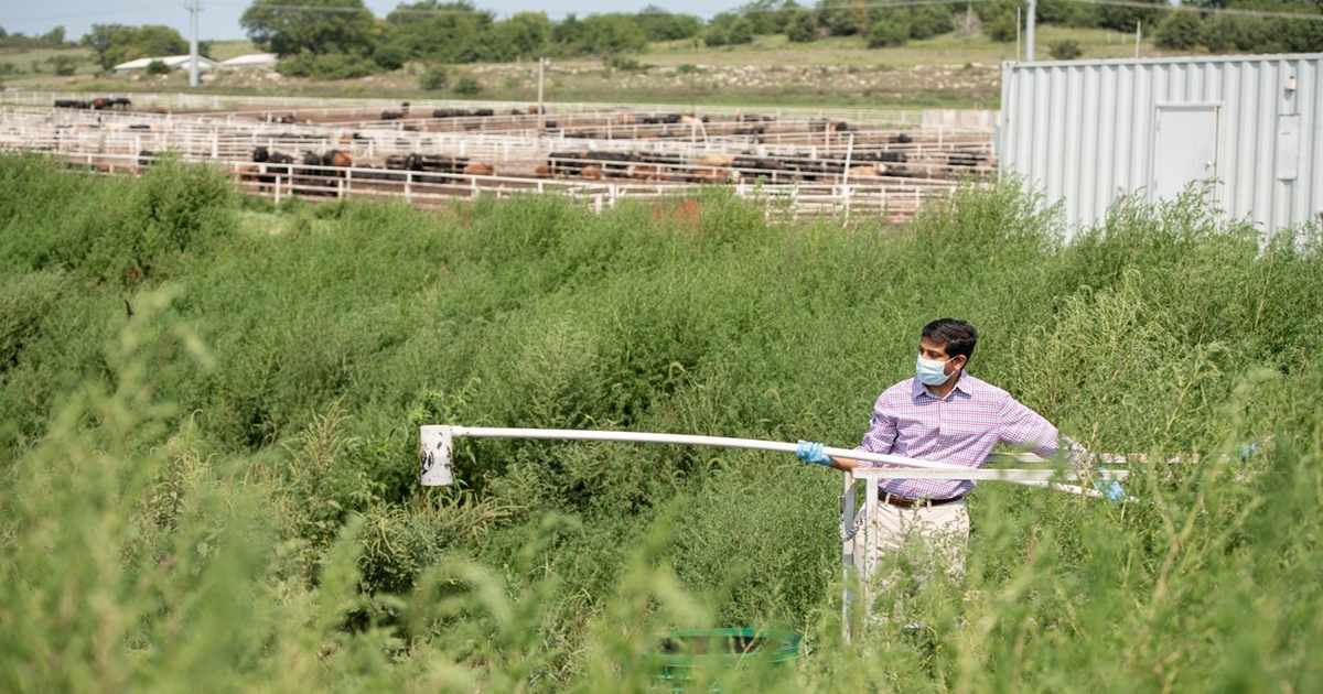 K-State team turns animal waste into water resources