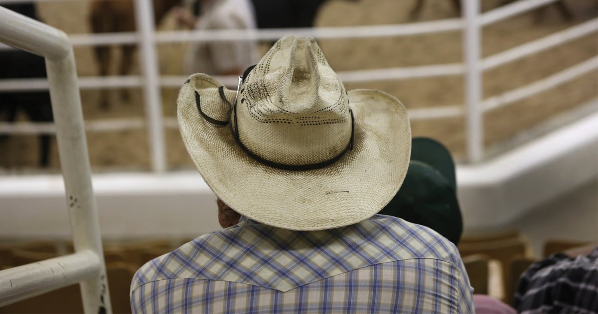 USDA investigation shows cattle markets work