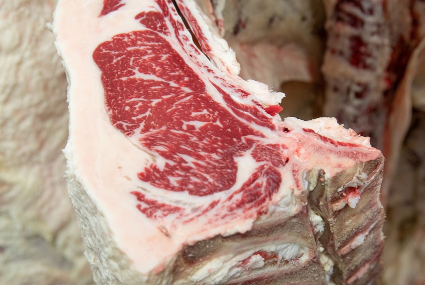 Quality ribeye Quality ribeye