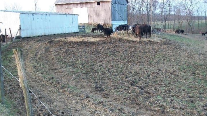 Plan to spatially disperse feeding areas this winter