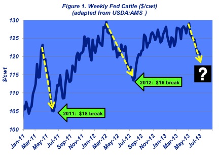 Monthly Market Outlook: Cattle Feeders Are Showing More Discipline