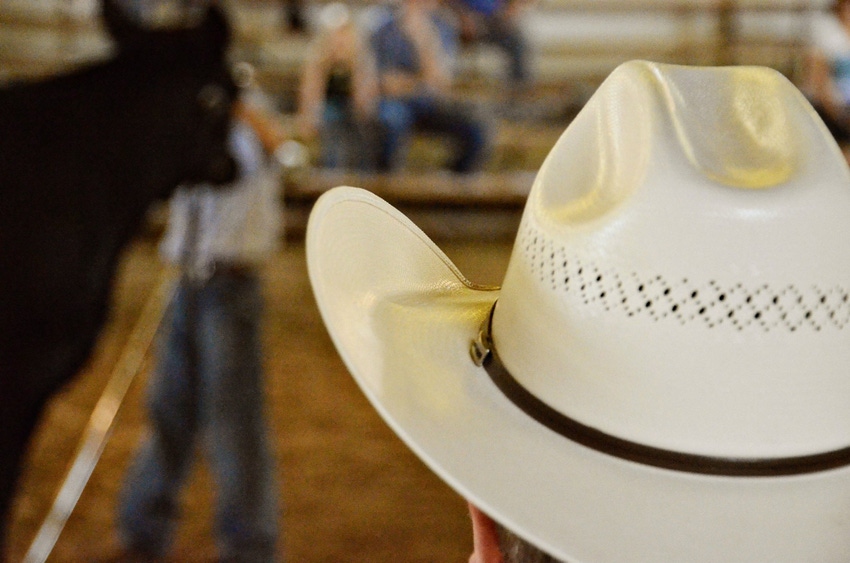 What’s The Best Thing About Fair Time? PLUS: 6 State Fair Reads You’ll Love