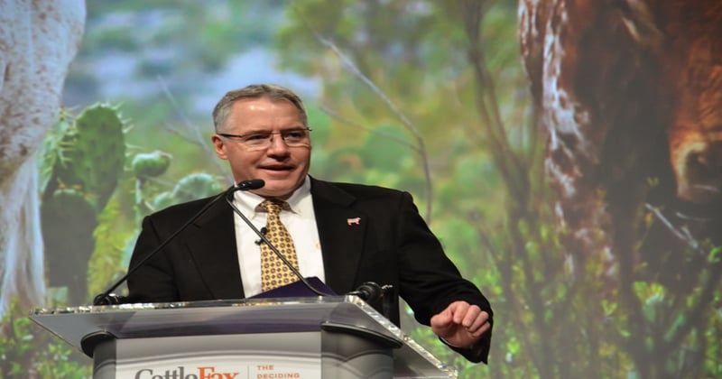 6 can’t miss cattle industry events to put on your calendar