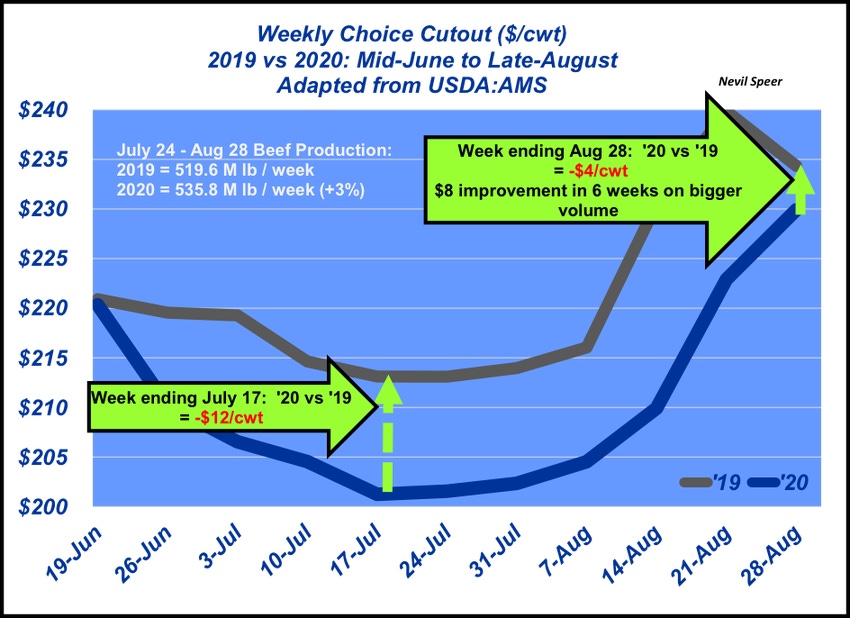 Weekly Choice Cutout