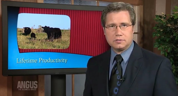 The Angus Report for June 11