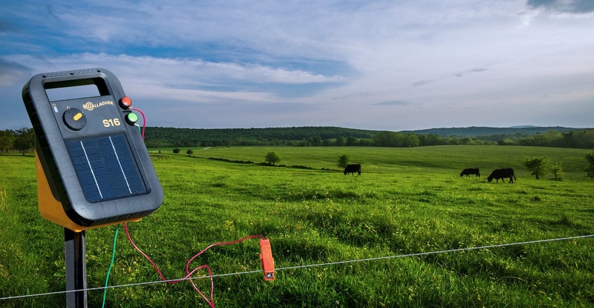 Managed grazing using portable electric fence improves feed quality