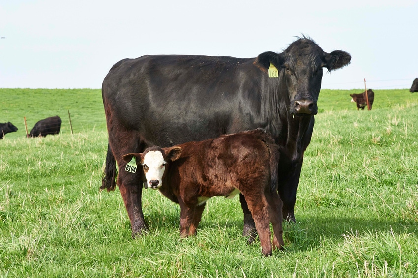 Don't let BVD steal your profit Don't let BVD steal your profit