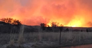 10 wildfire reports & resources to help