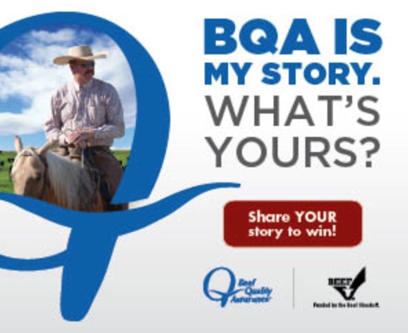 Don’t miss the BQA contest happening now on Facebook!