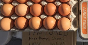 Organic free range eggs USDA.jpg
