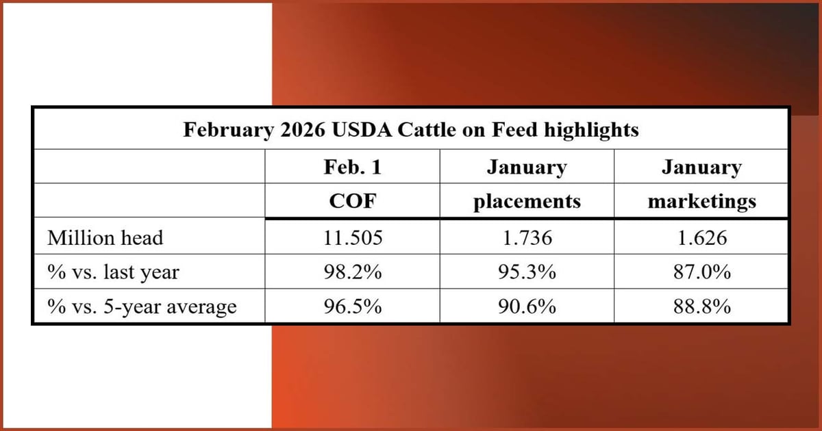 February 2026 USDA Cattle on Feed highlights
