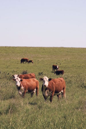 Strategic Weed Control Helps Oklahoma Rancher Improve Pastures