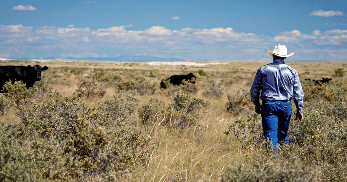 USDA announces Ranchers First Initiative