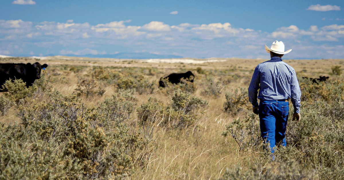 USDA announces Ranchers First Initiative