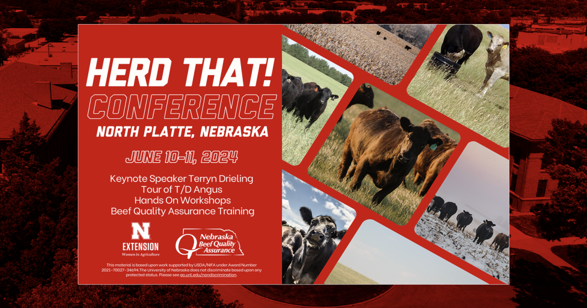 Nebraska Extension’s ‘Herd That!’ conference in North Platte to focus on beef cattle reproduction